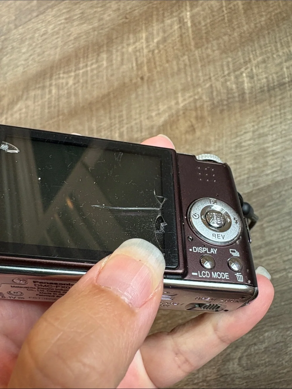 Panasonic lumix canon